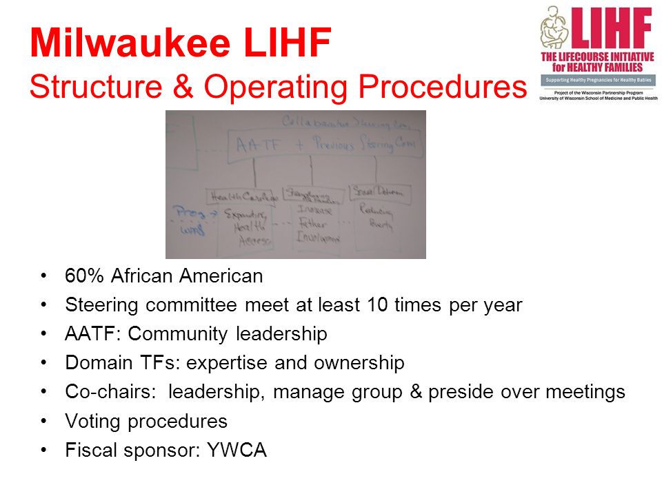 60% African American Steering committee meet at least 10 times per year AATF: Community leadership Domain TFs: expertise and ownership Co-chairs: leadership, manage group & preside over meetings Voting procedures Fiscal sponsor: YWCA Milwaukee LIHF Structure & Operating Procedures