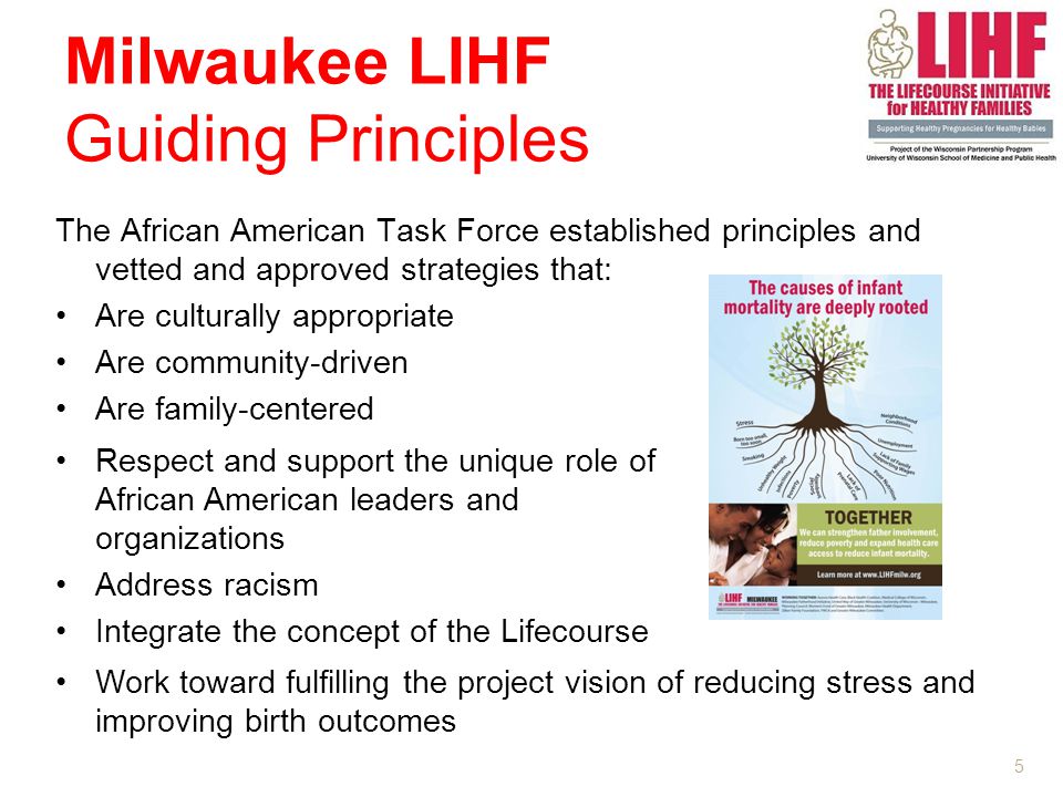 5 The African American Task Force established principles and vetted and approved strategies that: Are culturally appropriate Are community-driven Are family-centered Milwaukee LIHF Guiding Principles Respect and support the unique role of African American leaders and organizations Address racism Integrate the concept of the Lifecourse Work toward fulfilling the project vision of reducing stress and improving birth outcomes