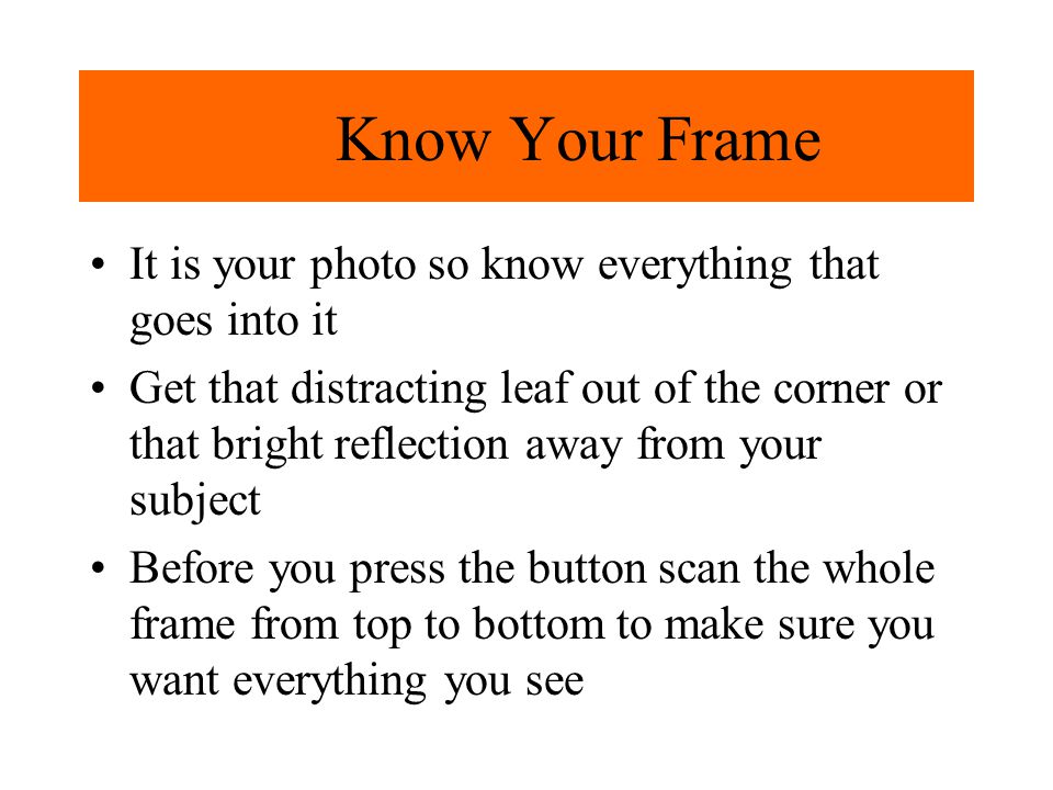 Know Your Frame It is your photo so know everything that goes into it Get that distracting leaf out of the corner or that bright reflection away from your subject Before you press the button scan the whole frame from top to bottom to make sure you want everything you see