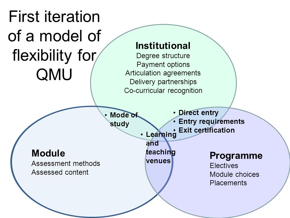 Profiles of flexibility at QMU Development of a model to: help map examples and aspects of flexibility identify areas in which we could promote further flexibility for the range of students and their needs.