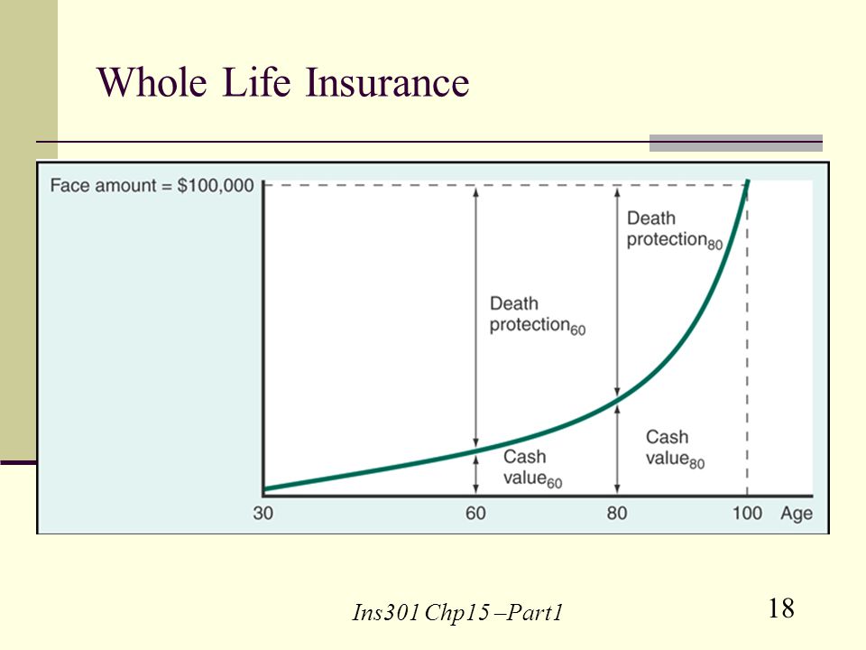 18 Ins301 Chp15 –Part1 Whole Life Insurance