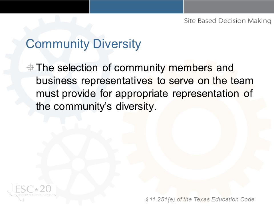 The selection of community members and business representatives to serve on the team must provide for appropriate representation of the communitys diversity.