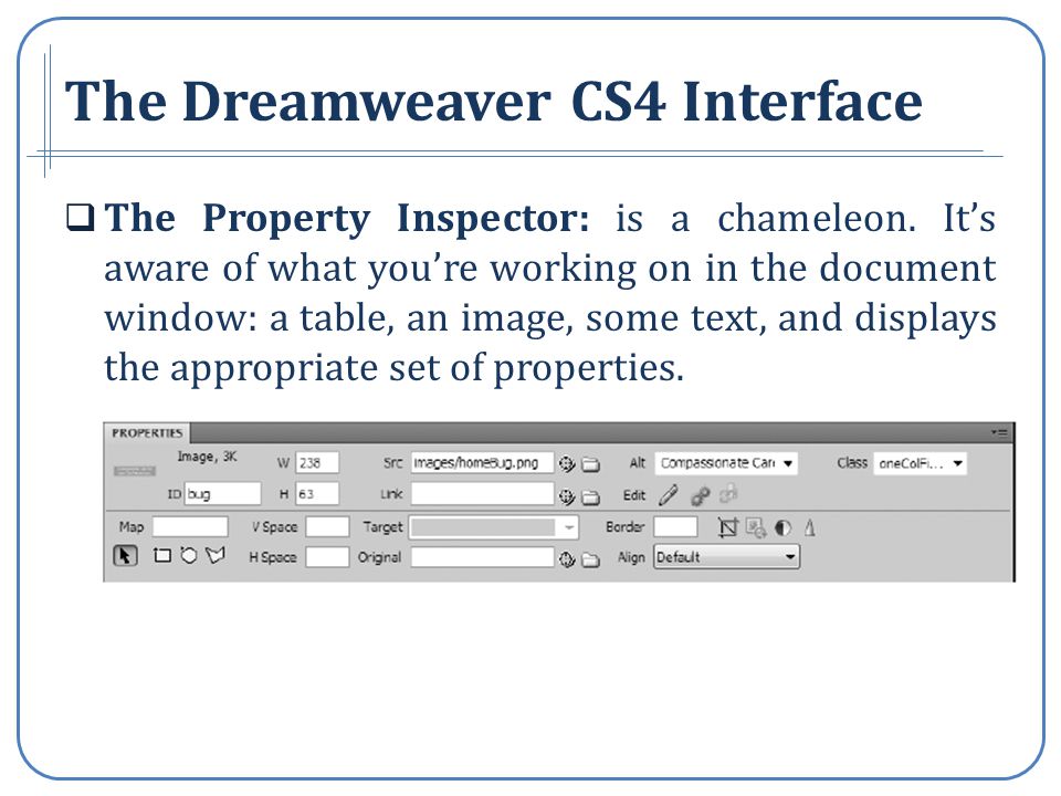 The Dreamweaver CS4 Interface The Property Inspector: is a chameleon.