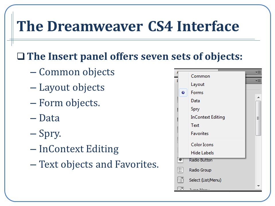 The Dreamweaver CS4 Interface The Insert panel offers seven sets of objects: – Common objects – Layout objects – Form objects.