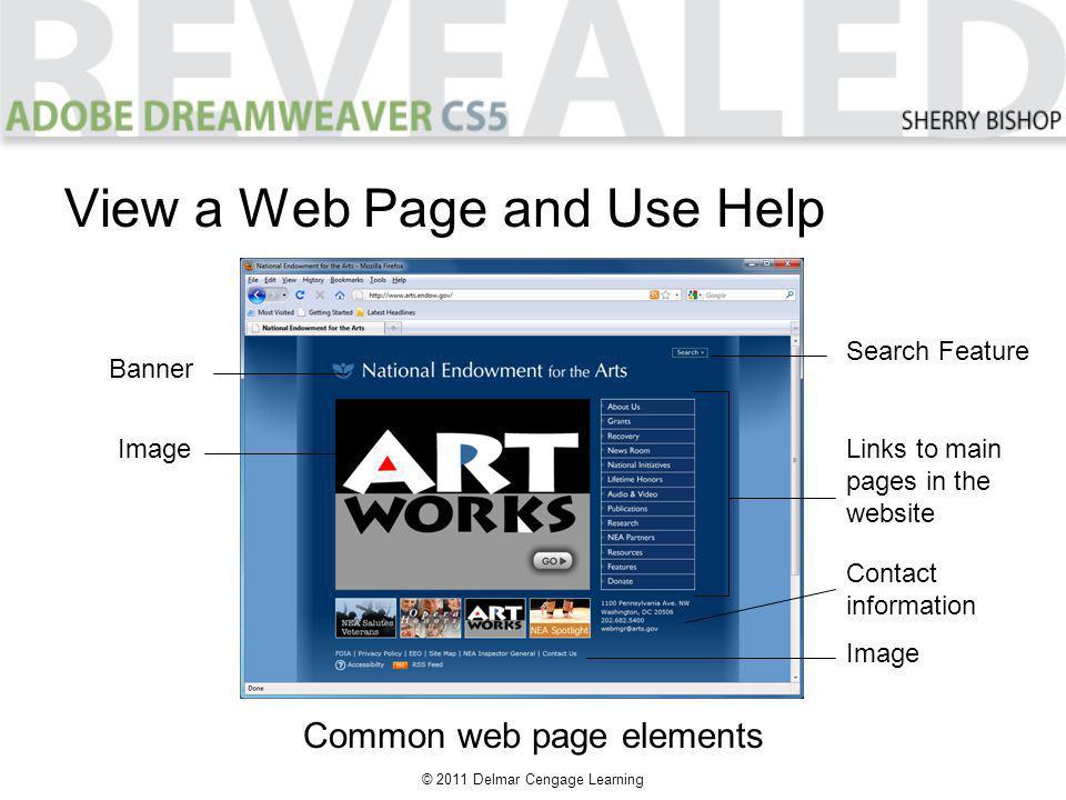 © 2011 Delmar Cengage Learning View a Web Page and Use Help Common web page elements Banner Image Search Feature Image Links to main pages in the website Contact information