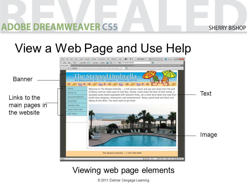 © 2011 Delmar Cengage Learning View a Web Page and Use Help Viewing web page elements Banner Links to the main pages in the website Text Image