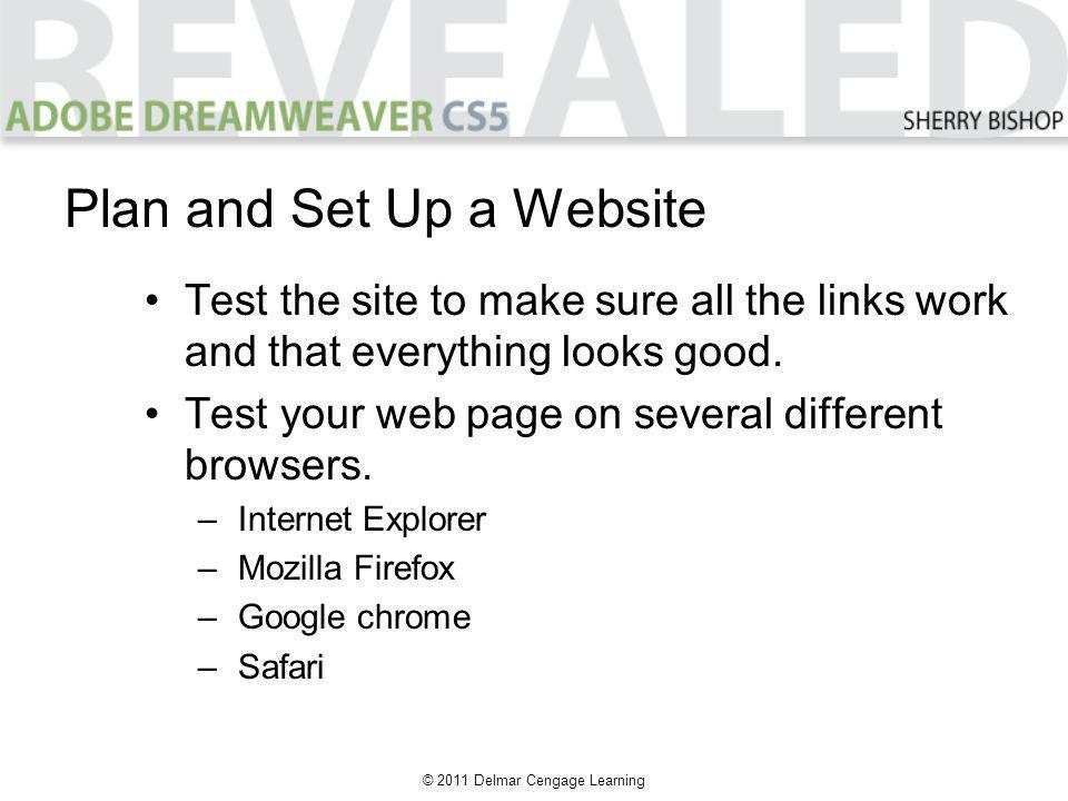 © 2011 Delmar Cengage Learning Test the site to make sure all the links work and that everything looks good.