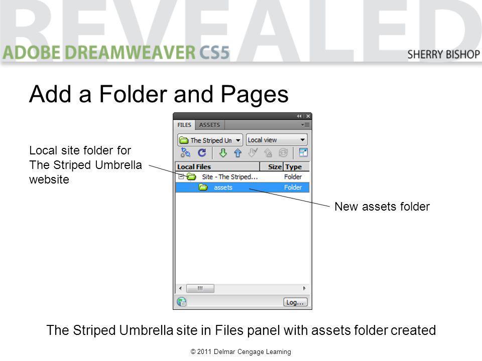 © 2011 Delmar Cengage Learning Add a Folder and Pages The Striped Umbrella site in Files panel with assets folder created Local site folder for The Striped Umbrella website New assets folder
