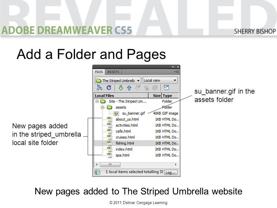 © 2011 Delmar Cengage Learning Add a Folder and Pages New pages added to The Striped Umbrella website New pages added in the striped_umbrella local site folder su_banner.gif in the assets folder