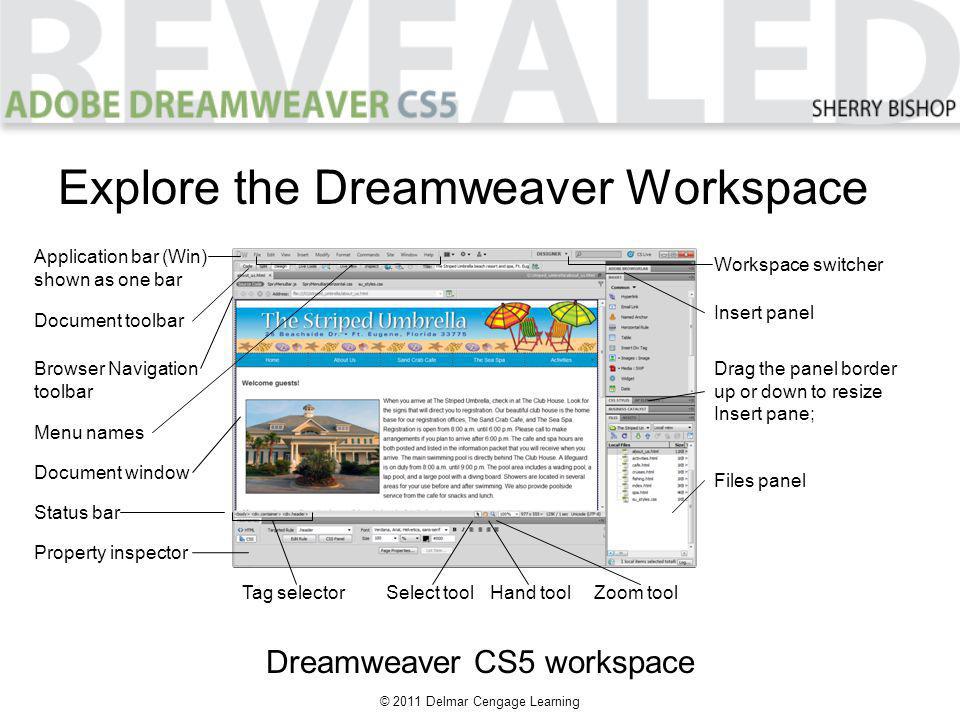 © 2011 Delmar Cengage Learning Explore the Dreamweaver Workspace Dreamweaver CS5 workspace Select tool Document toolbar Browser Navigation toolbar Menu names Document window Status bar Property inspector Tag selector Application bar (Win) shown as one bar Hand toolZoom tool Workspace switcher Insert panel Drag the panel border up or down to resize Insert pane; Files panel