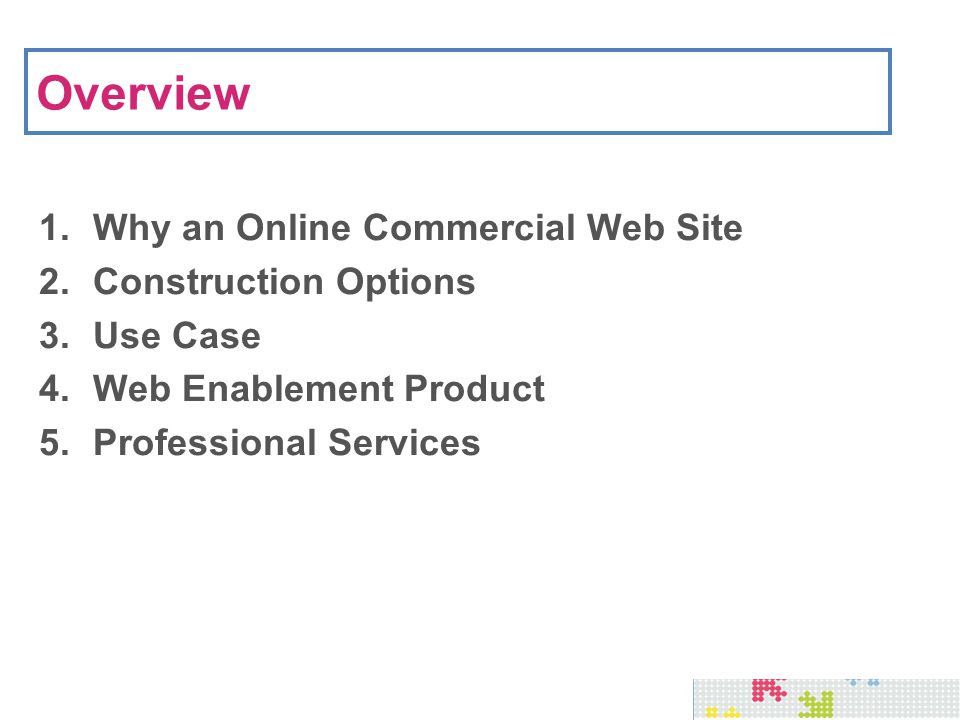 Overview 1.Why an Online Commercial Web Site 2.Construction Options 3.Use Case 4.Web Enablement Product 5.Professional Services