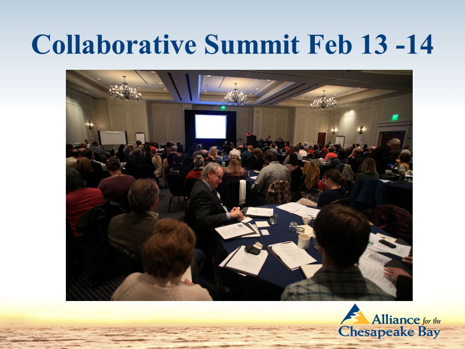 Collaborative Summit Feb