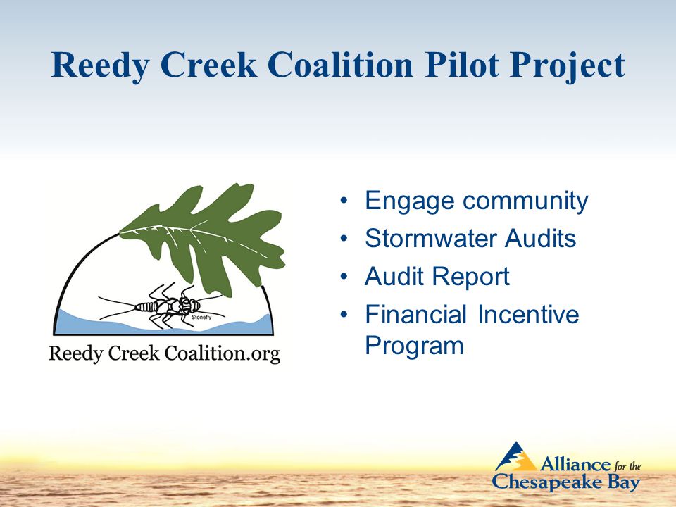 Reedy Creek Coalition Pilot Project Engage community Stormwater Audits Audit Report Financial Incentive Program