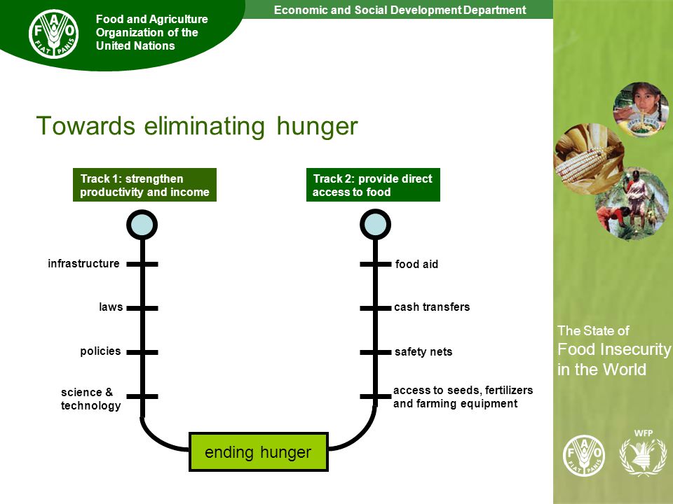 11 The State of Food Insecurity in the World Economic and Social Development Department Food and Agriculture Organization of the United Nations The State of Food Insecurity in the World Towards eliminating hunger ending hunger Track 1: strengthen productivity and income Track 2: provide direct access to food infrastructure laws policies science & technology food aid cash transfers safety nets access to seeds, fertilizers and farming equipment