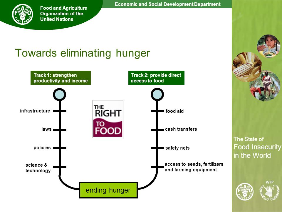 12 The State of Food Insecurity in the World Economic and Social Development Department Food and Agriculture Organization of the United Nations The State of Food Insecurity in the World Towards eliminating hunger ending hunger Track 1: strengthen productivity and income Track 2: provide direct access to food infrastructure laws policies science & technology food aid cash transfers safety nets access to seeds, fertilizers and farming equipment