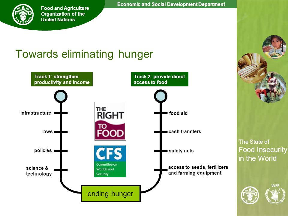 13 The State of Food Insecurity in the World Economic and Social Development Department Food and Agriculture Organization of the United Nations The State of Food Insecurity in the World Towards eliminating hunger ending hunger Track 1: strengthen productivity and income Track 2: provide direct access to food infrastructure laws policies science & technology food aid cash transfers safety nets access to seeds, fertilizers and farming equipment