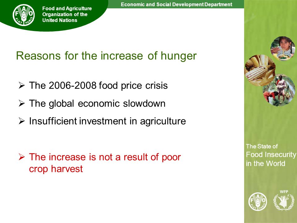 6 The State of Food Insecurity in the World Economic and Social Development Department Food and Agriculture Organization of the United Nations The State of Food Insecurity in the World Reasons for the increase of hunger The food price crisis The global economic slowdown Insufficient investment in agriculture The increase is not a result of poor crop harvest