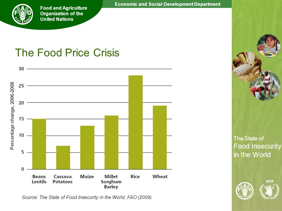 7 The State of Food Insecurity in the World Economic and Social Development Department Food and Agriculture Organization of the United Nations The State of Food Insecurity in the World The Food Price Crisis Source: The State of Food Insecurity in the World, FAO (2009).