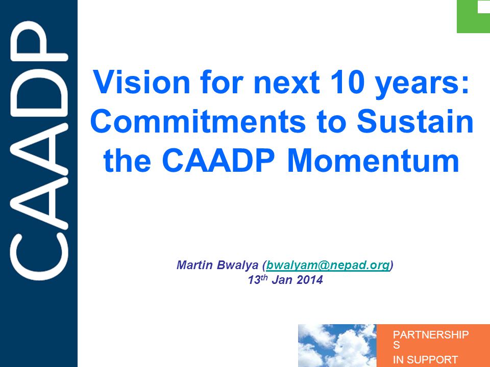 PARTNERSHIP S IN SUPPORT OF CAADP Vision for next 10 years: Commitments to Sustain the CAADP Momentum Martin Bwalya 13 th Jan 2014