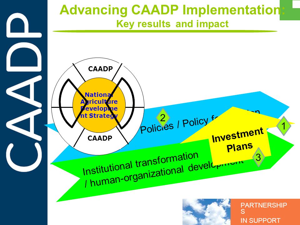 PARTNERSHIP S IN SUPPORT OF CAADP Advancing CAADP Implementation: Key results and impact Policies / Policy formulation Institutional transformation / human-organizational development CAADP National Agriculture Developme nt Strategy Investment Plans 1 3 2