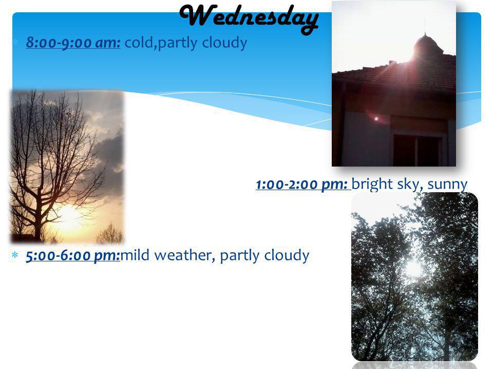 8:00-9:00 am: cold,partly cloudy 1:00-2:00 pm: bright sky, sunny 5:00-6:00 pm:mild weather, partly cloudy Wednesday