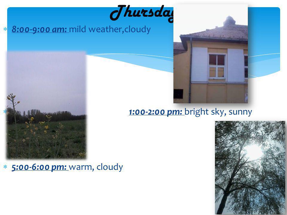 8:00-9:00 am: mild weather,cloudy 1:00-2:00 pm: bright sky, sunny 5:00-6:00 pm: warm, cloudy Thursday