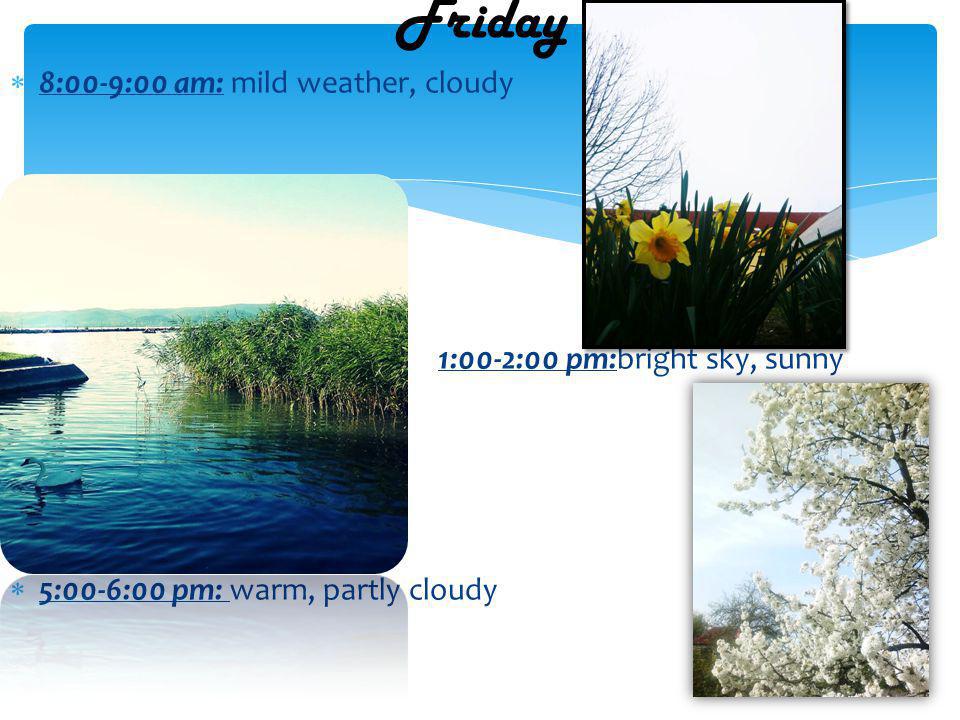 8:00-9:00 am: mild weather, cloudy 1:00-2:00 pm:bright sky, sunny 5:00-6:00 pm: warm, partly cloudy Friday