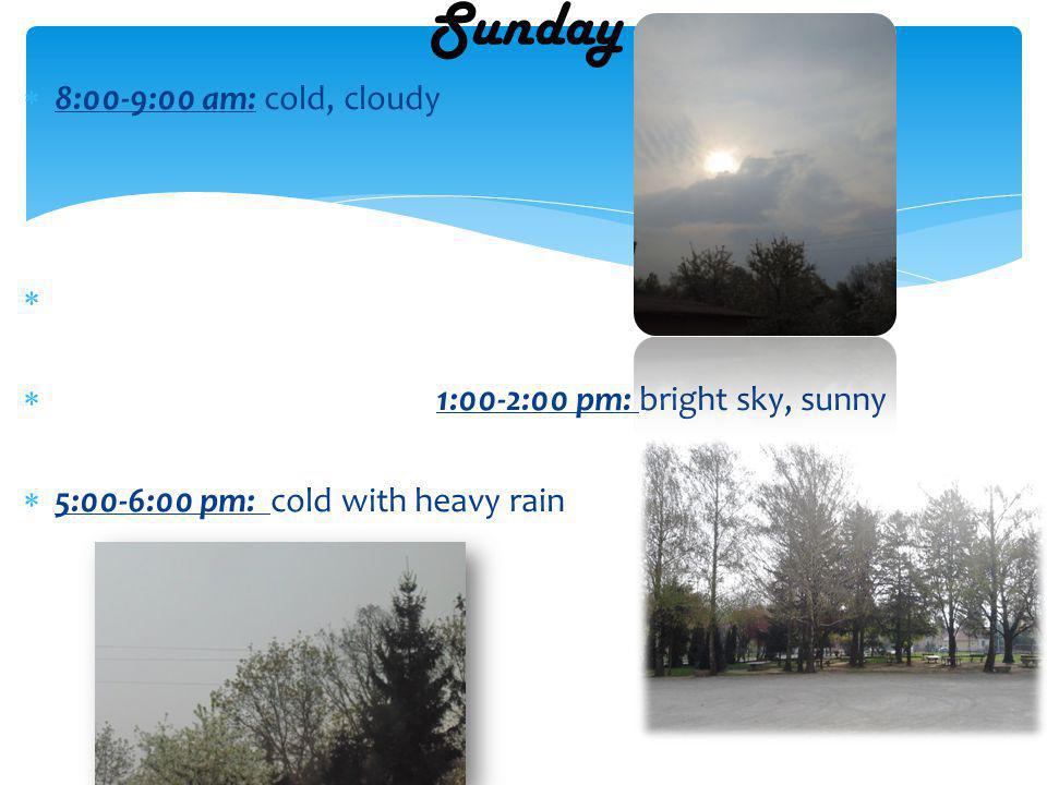 8:00-9:00 am: cold, cloudy 1:00-2:00 pm: bright sky, sunny 5:00-6:00 pm: cold with heavy rain Sunday