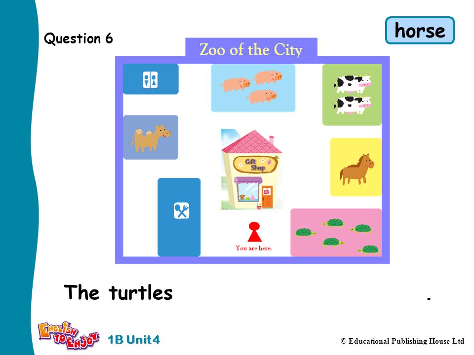 1B Unit 4 © Educational Publishing House Ltd Question 6 The turtles are in front of the horse.