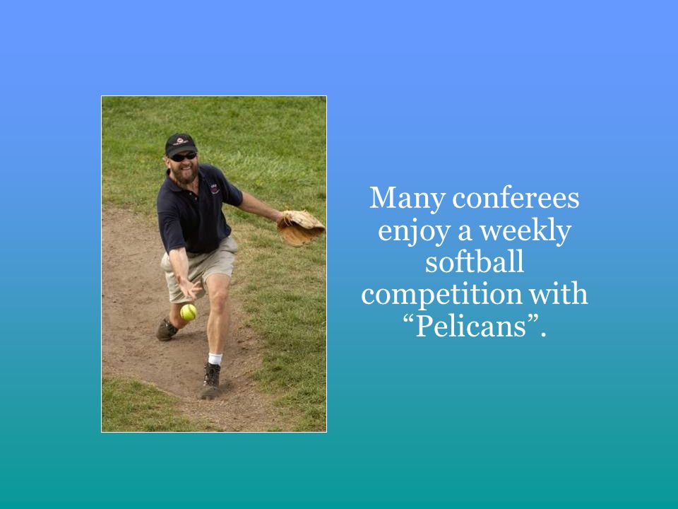 Many conferees enjoy a weekly softball competition with Pelicans.