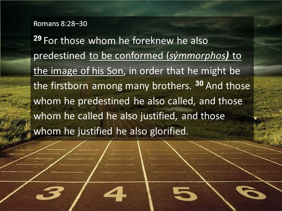 Romans 8:28–30 29 For those whom he foreknew he also predestined to be conformed (sýmmorphos) to the image of his Son, in order that he might be the firstborn among many brothers.