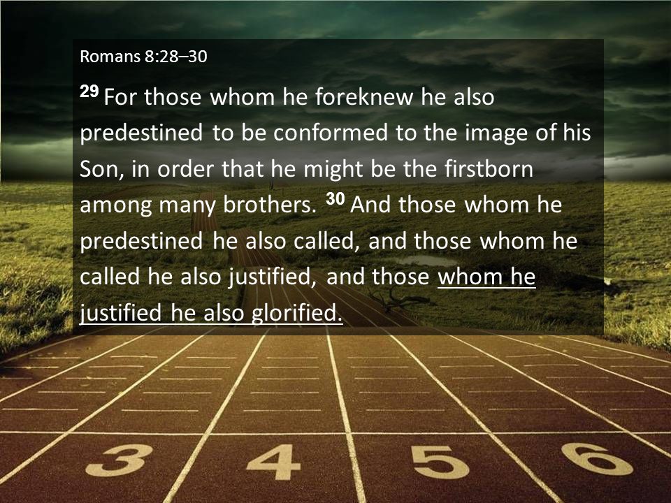 Romans 8:28–30 29 For those whom he foreknew he also predestined to be conformed to the image of his Son, in order that he might be the firstborn among many brothers.