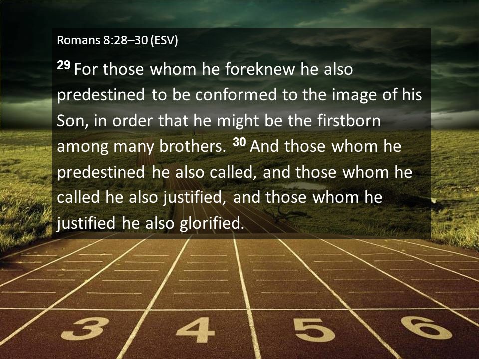 Romans 8:28–30 (ESV) 29 For those whom he foreknew he also predestined to be conformed to the image of his Son, in order that he might be the firstborn among many brothers.