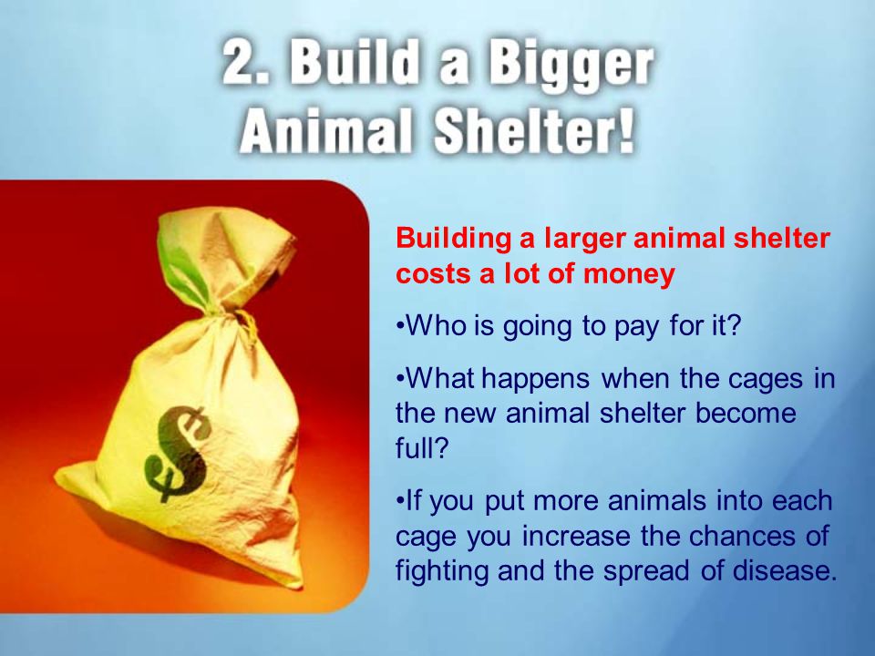 Building a larger animal shelter costs a lot of money Who is going to pay for it.