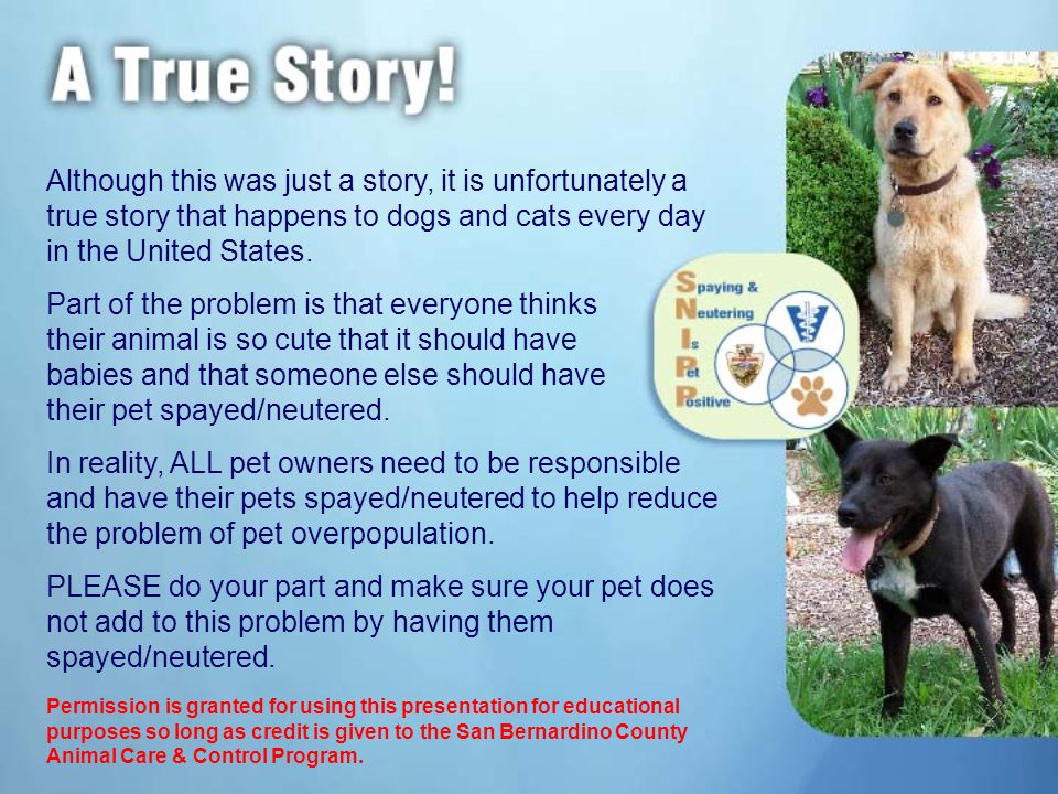 Although this was just a story, it is unfortunately a true story that happens to dogs and cats every day in the United States.