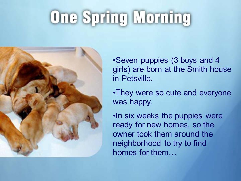 Seven puppies (3 boys and 4 girls) are born at the Smith house in Petsville.