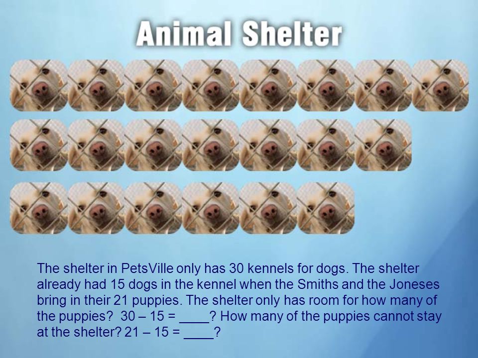 The shelter in PetsVille only has 30 kennels for dogs.