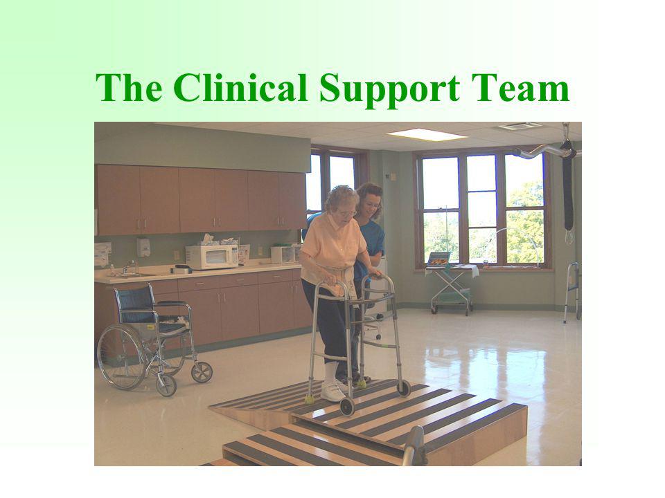 The Clinical Support Team