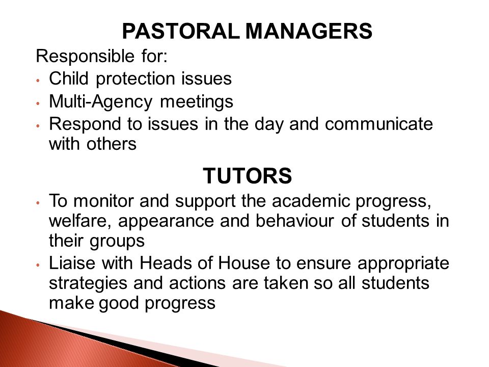 PASTORAL MANAGERS Responsible for: Child protection issues Multi-Agency meetings Respond to issues in the day and communicate with others TUTORS To monitor and support the academic progress, welfare, appearance and behaviour of students in their groups Liaise with Heads of House to ensure appropriate strategies and actions are taken so all students make good progress