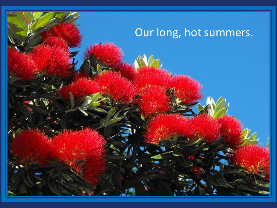 Our long, hot summers.