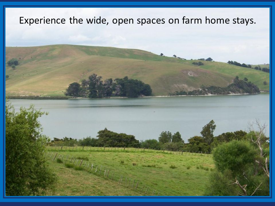 Experience the wide, open spaces on farm home stays.