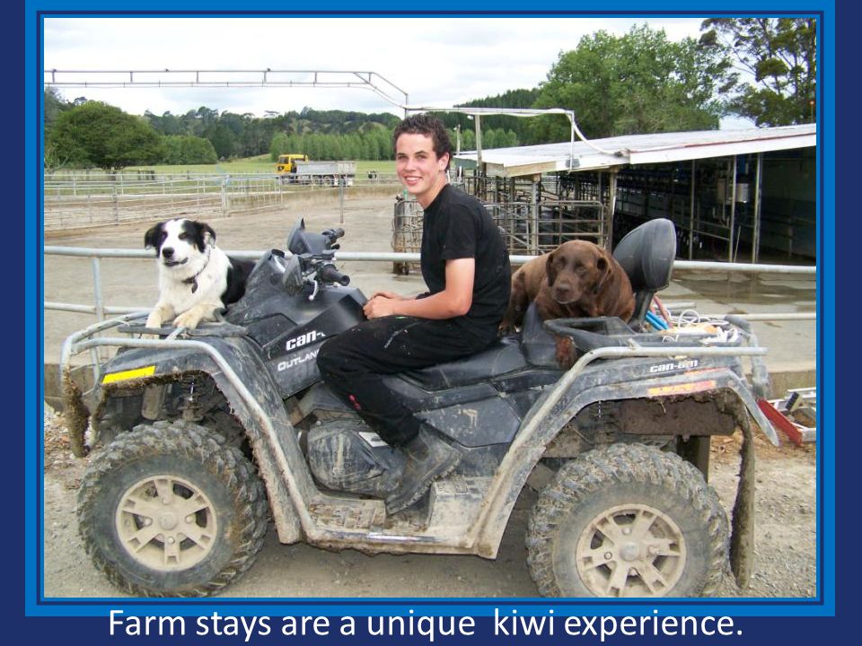 Farm stays are a unique kiwi experience.