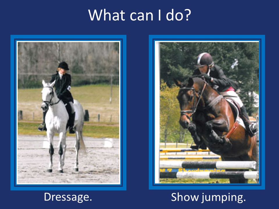 What can I do Dressage. Show jumping.
