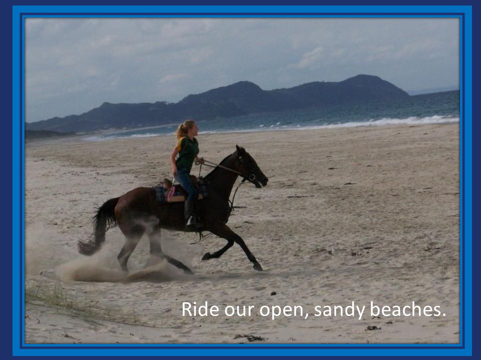 Ride our open, sandy beaches.