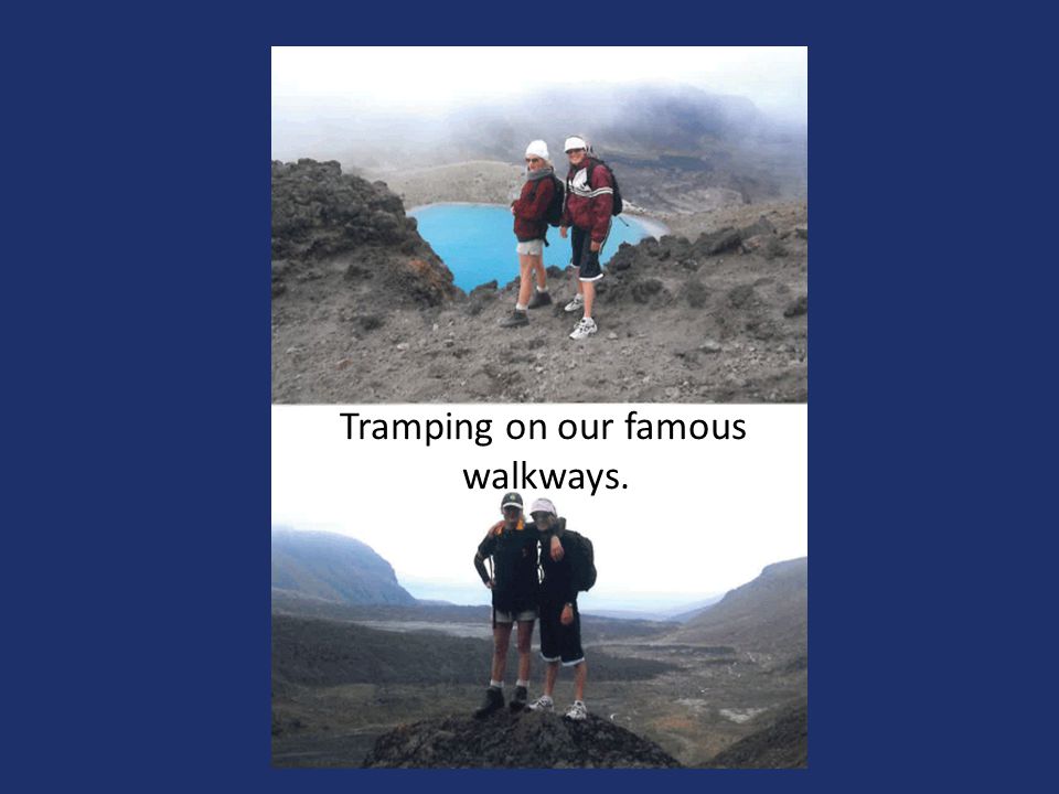 Tramping on our famous walkways.