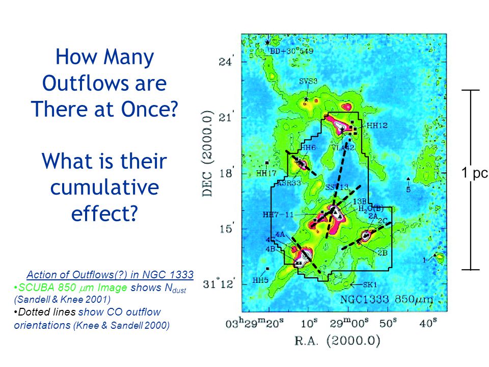 Action of Outflows( ) in NGC 1333 SCUBA 850 m Image shows N dust (Sandell & Knee 2001) Dotted lines show CO outflow orientations (Knee & Sandell 2000)