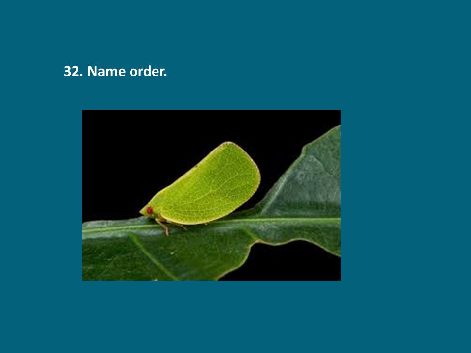 32. Name order.
