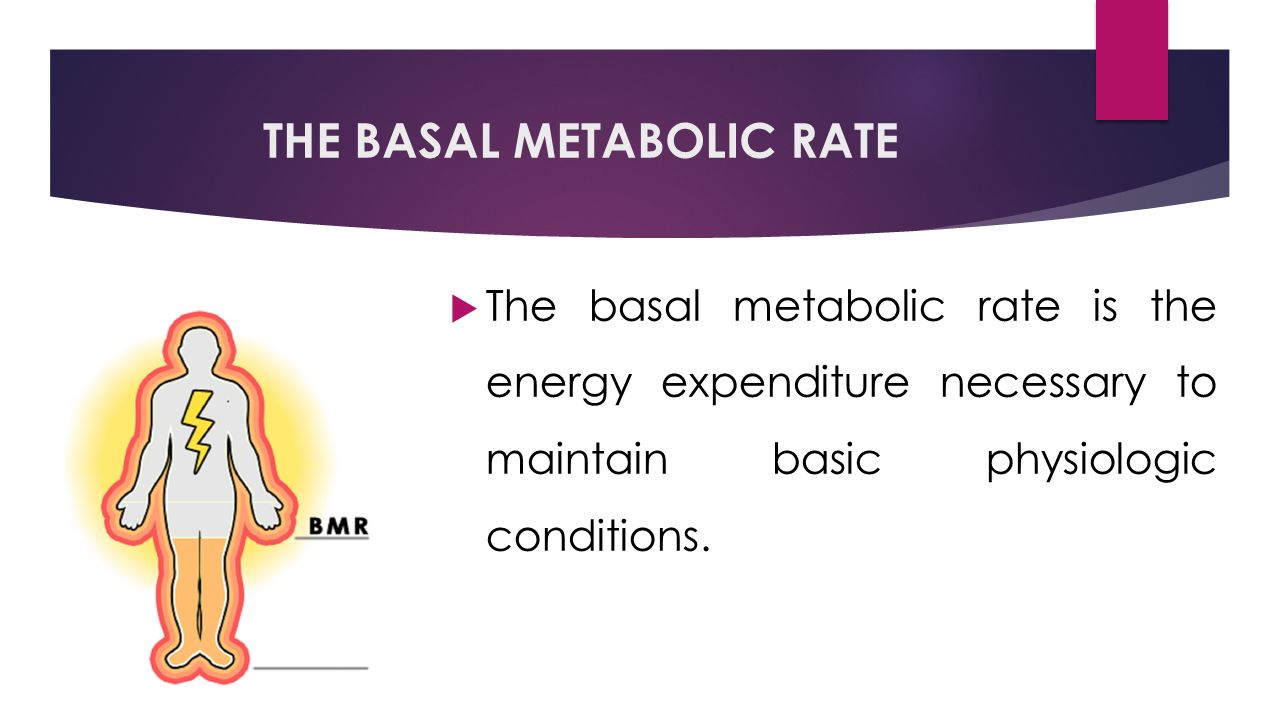 THE BASAL METABOLIC RATE  The basal metabolic rate is the energy expenditure necessary to maintain basic physiologic conditions.