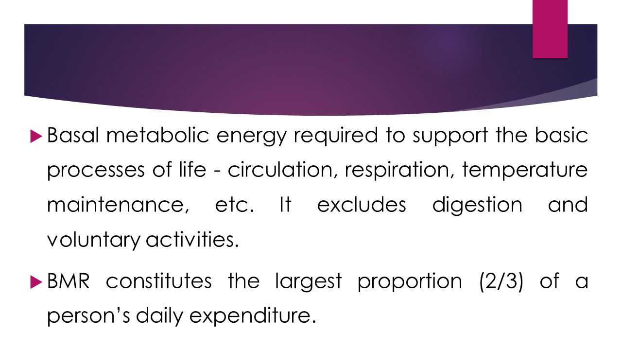  Basal metabolic energy required to support the basic processes of life - circulation, respiration, temperature maintenance, etc.