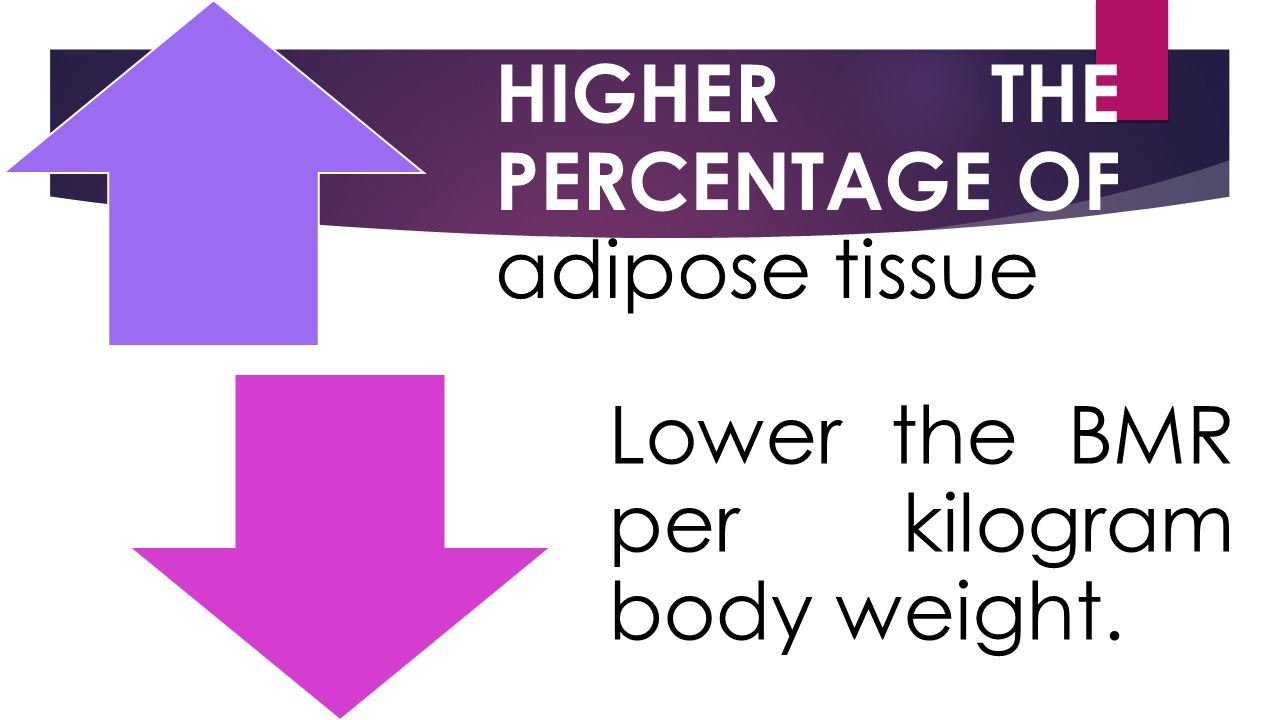 HIGHER THE PERCENTAGE OF adipose tissue Lower the BMR per kilogram body weight.